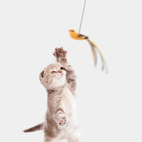 Thumbnail for ToyBird Hanging Bird Toy - KittyNook Cat Company