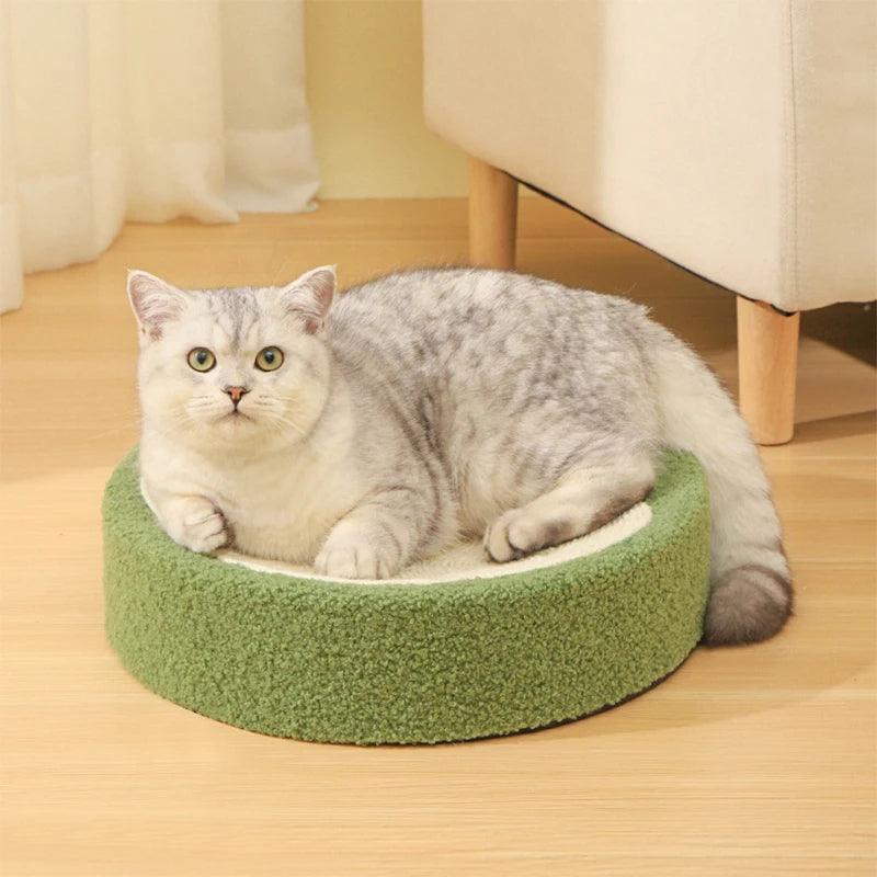 Whisker Whirl Cat Bed Scratcher  KittyNook Cat Company   