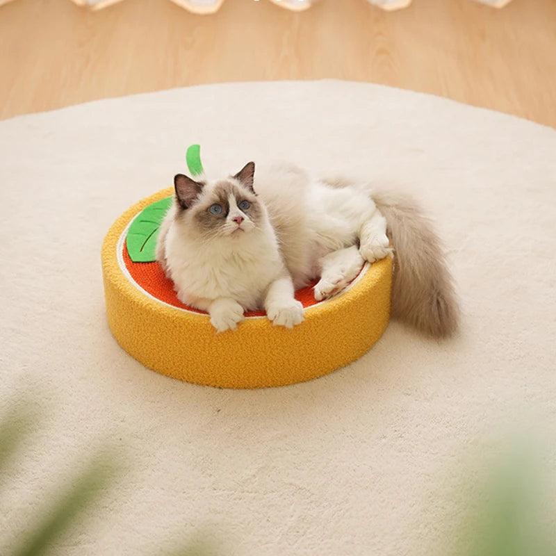 Whisker Whirl Cat Bed Scratcher  KittyNook Cat Company   