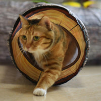 Thumbnail for Whiskerwood Foldable Cat Tunnel - KittyNook Cat Company
