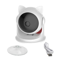 Thumbnail for CatCam Interactive Cat Laser Pointer