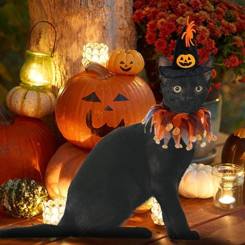 Witch's Familiar Cat Costume - KittyNook