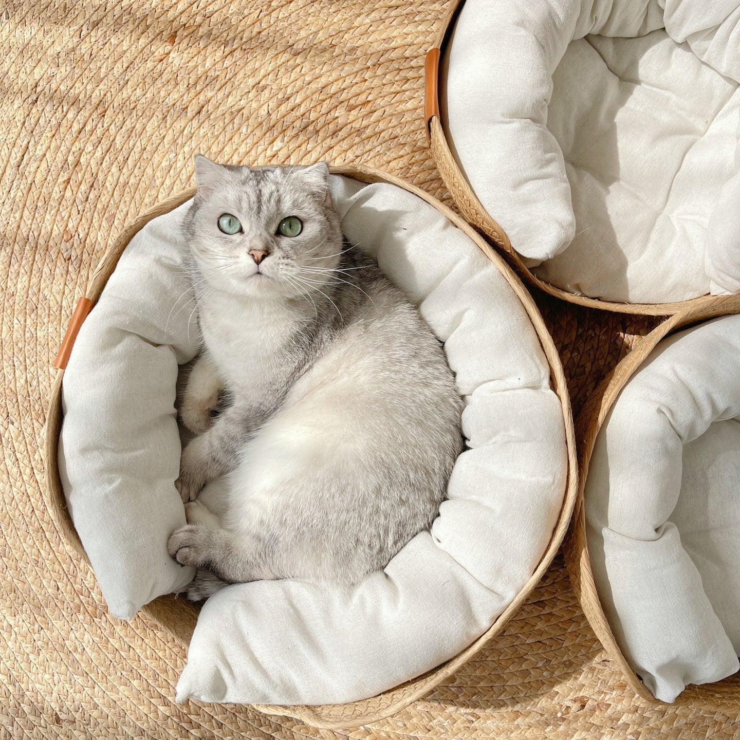 Woven Bamboo Cat Bed - KittyNook Cat Company