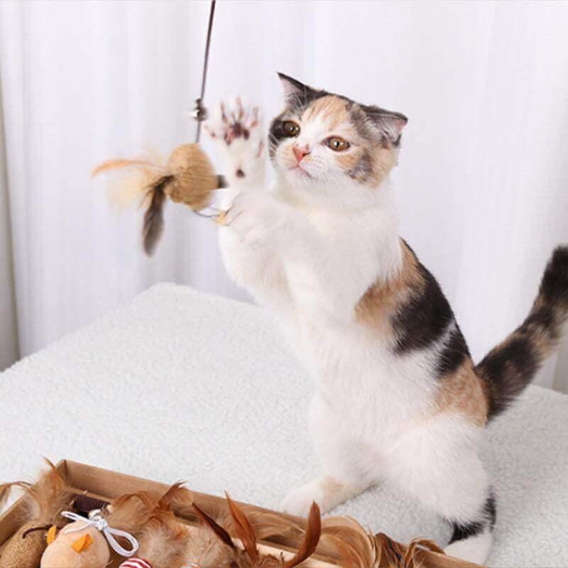 Cutie Catz 7pcs Feather Cat Toy - KittyNook