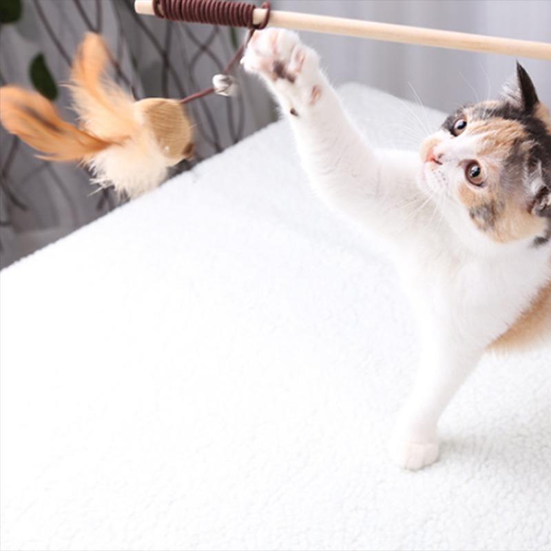 Cutie Catz 7pcs Feather Cat Toy - KittyNook