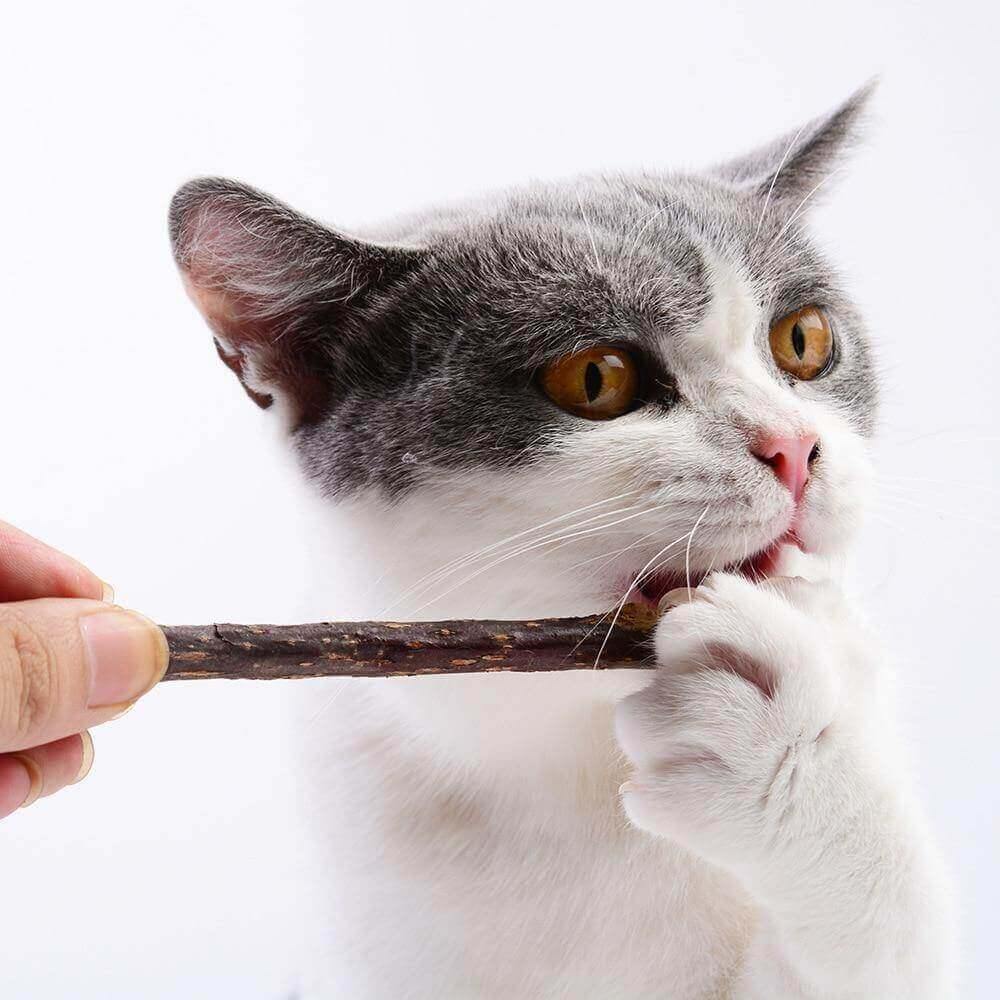 Natural Matatabi Chompy Sticks Cat Toys KittyNook 10pcs  